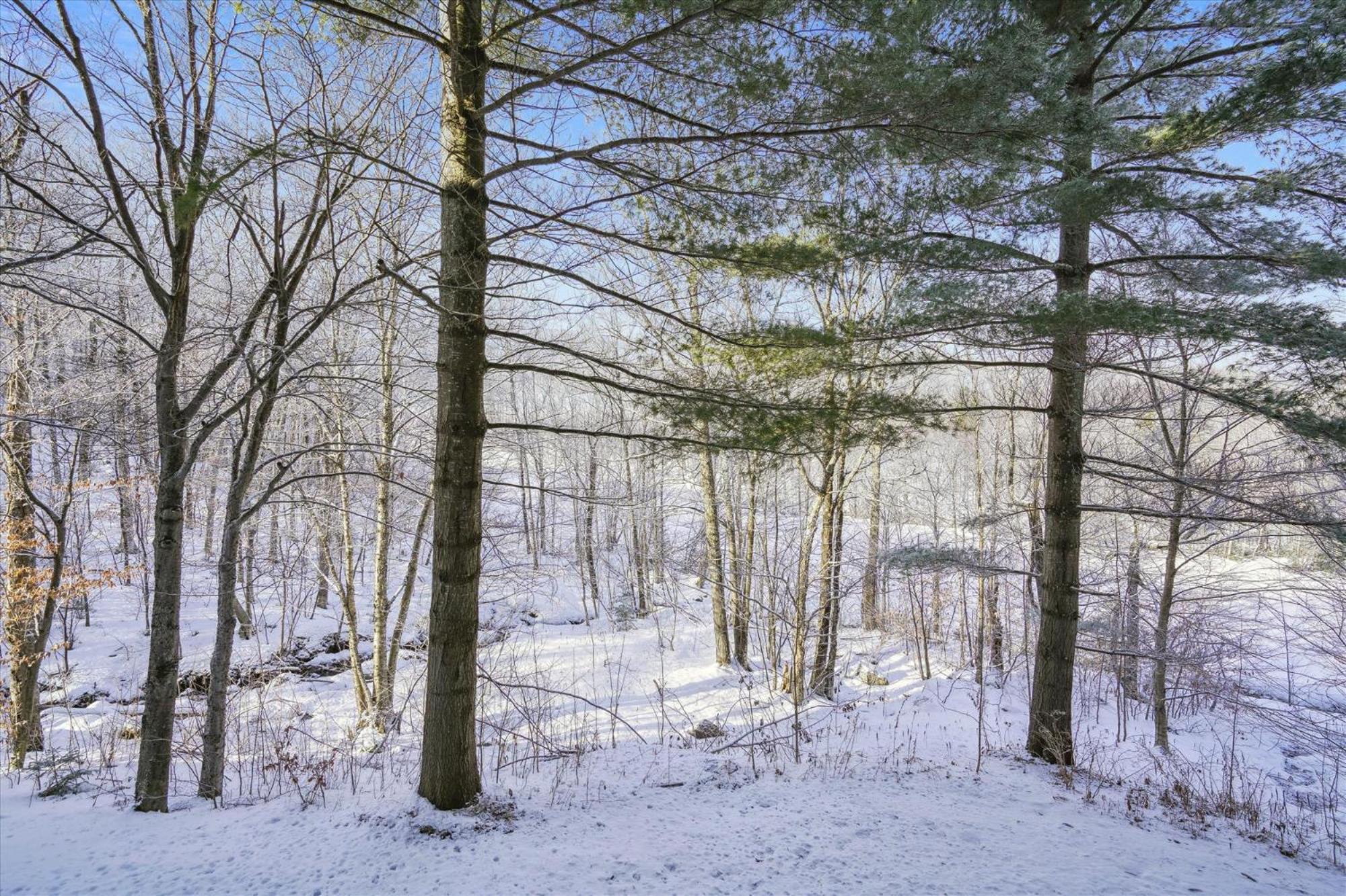 3-Bedroom Condo Ski-In, Shuttle, And Cozy Fireplace Whiffletree I3 Killington Εξωτερικό φωτογραφία